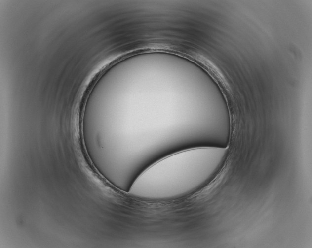 X0000112810939200908210935