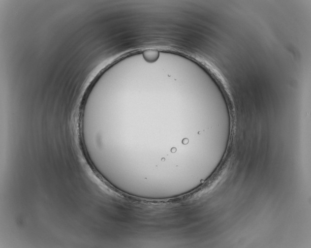 X0000112810941200908210935