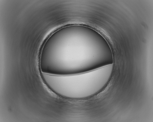 X0000112810942200908210935