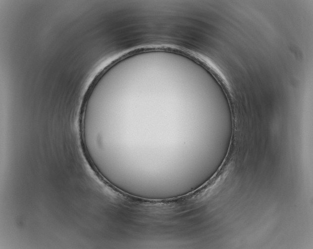 X0000112810943200908210935