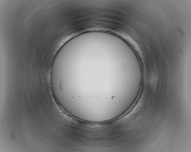 X0000112810945200908210935