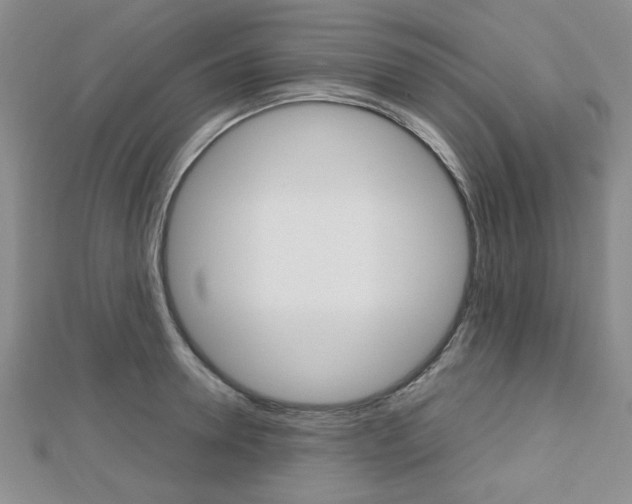 X0000112810946200908210935