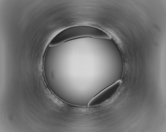 X0000112810948200908210935