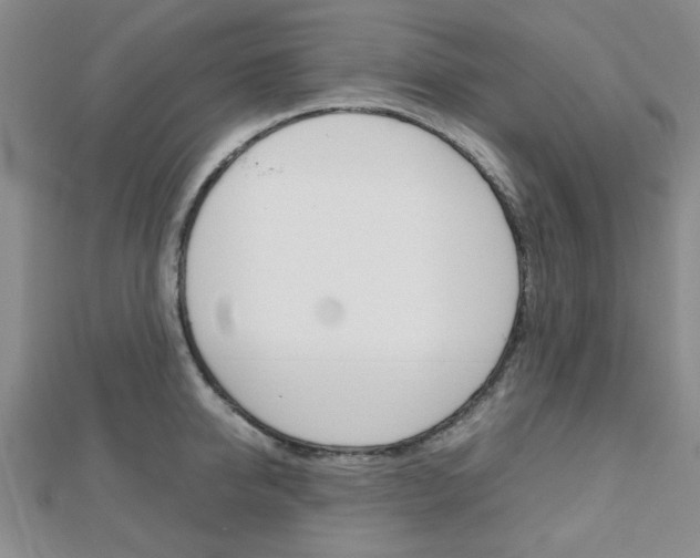 X0000112810950200908210935