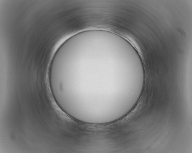 X0000112810952200908210935