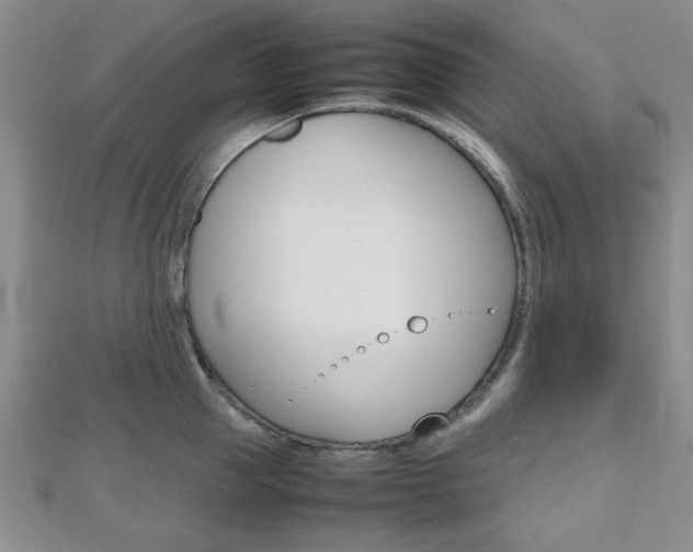 X0000112810953200908210935