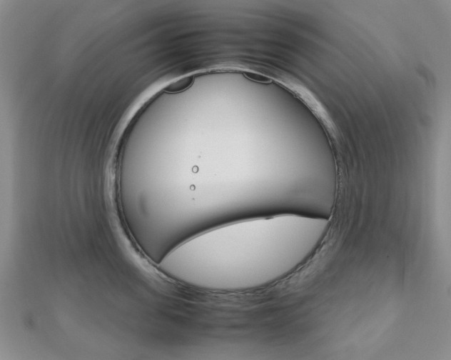 X0000112810955200908210935