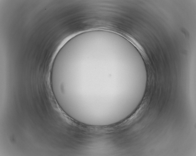 X0000112810956200908210935