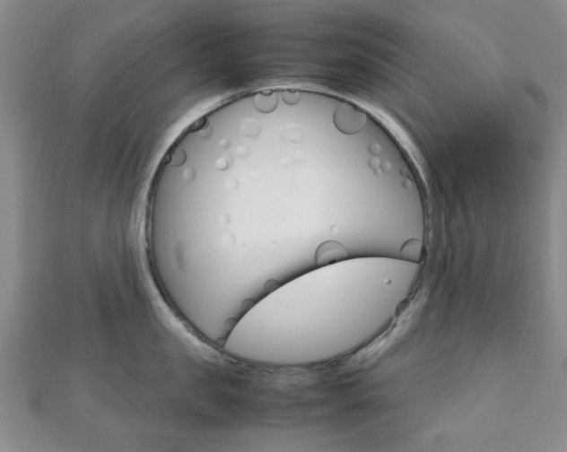 X0000112810957200908210935