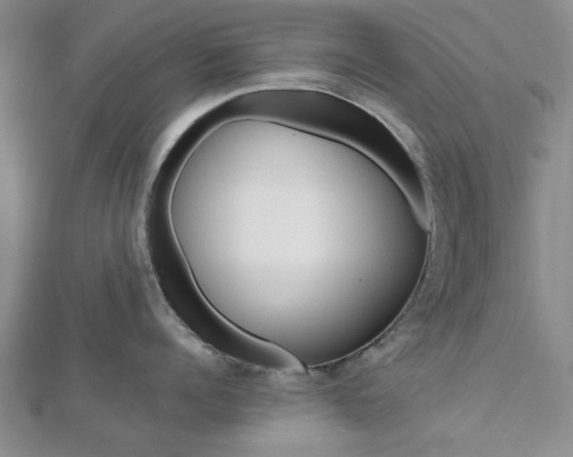 X0000112810960200908210935