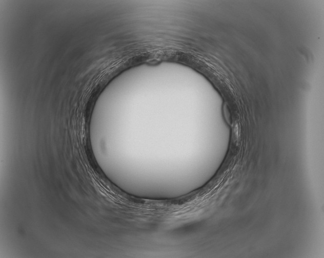 X0000112810963200908210934