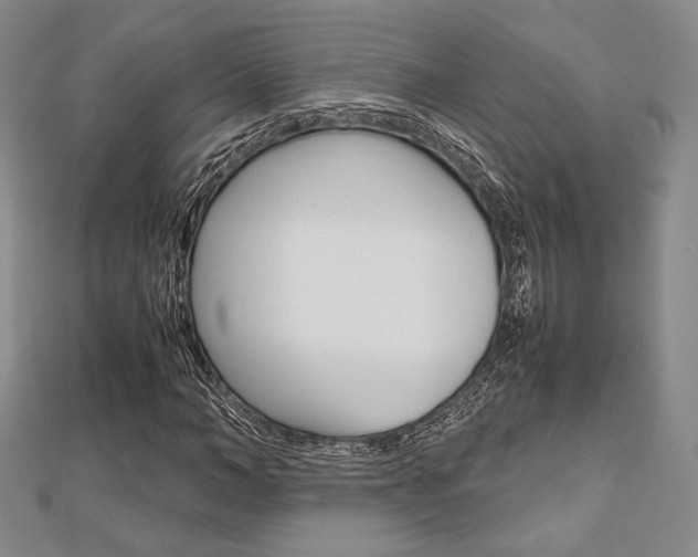 X0000112810966200908210934