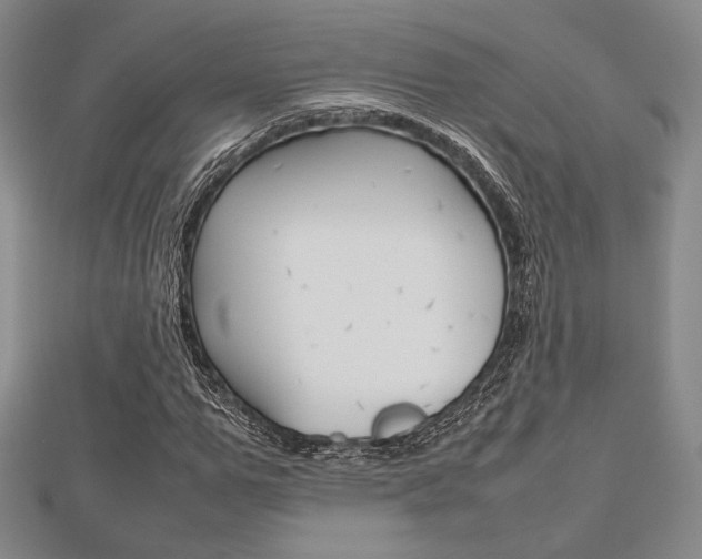 X0000112810967200908210934