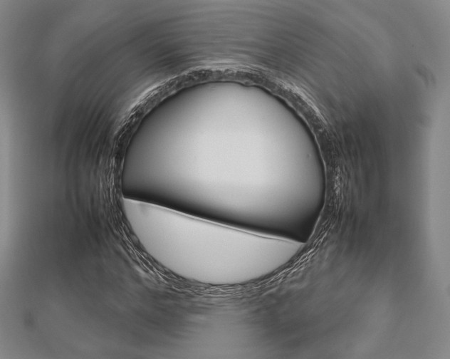 X0000112810968200908210934