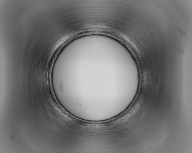 X0000112810970200908210934