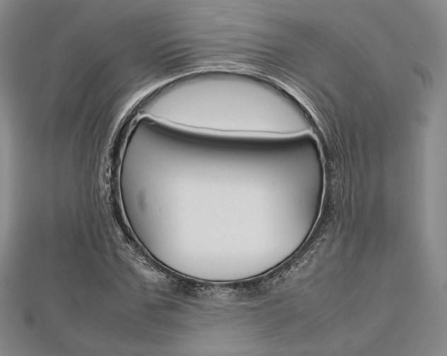 X0000112810971200908210934