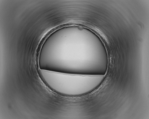 X0000112810972200908210934