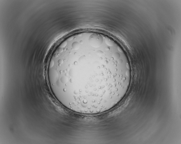 X0000112810974200908210934
