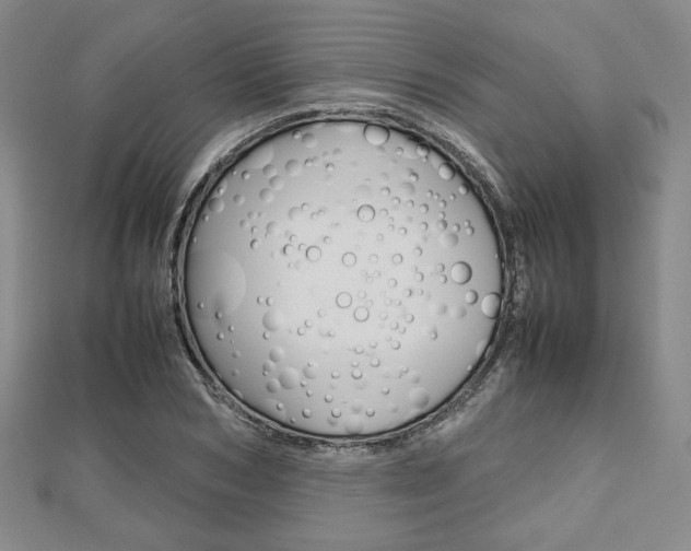 X0000112810978200908210934