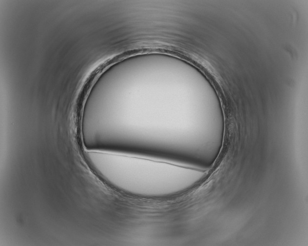 X0000112810979200908210934