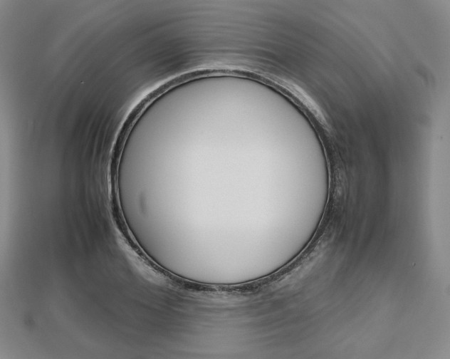 X0000112810980200908210934