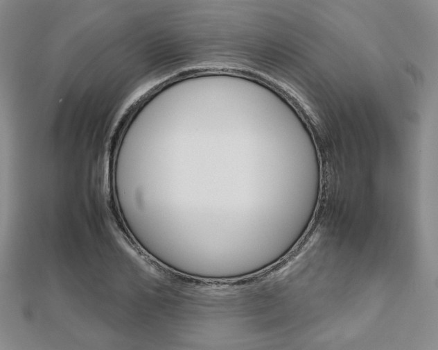 X0000112810982200908210934