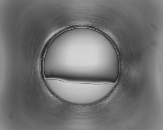 X0000112810983200908210934