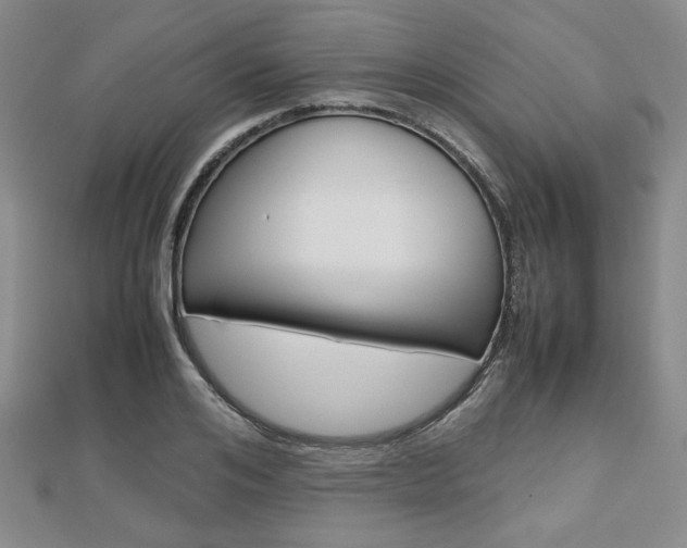 X0000112810984200908210934