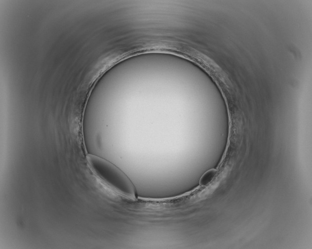 X0000112810985200908210934