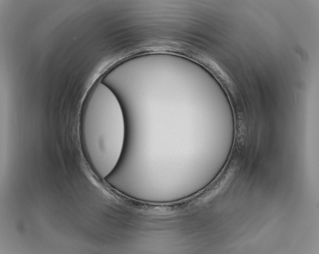 X0000112810986200908210934