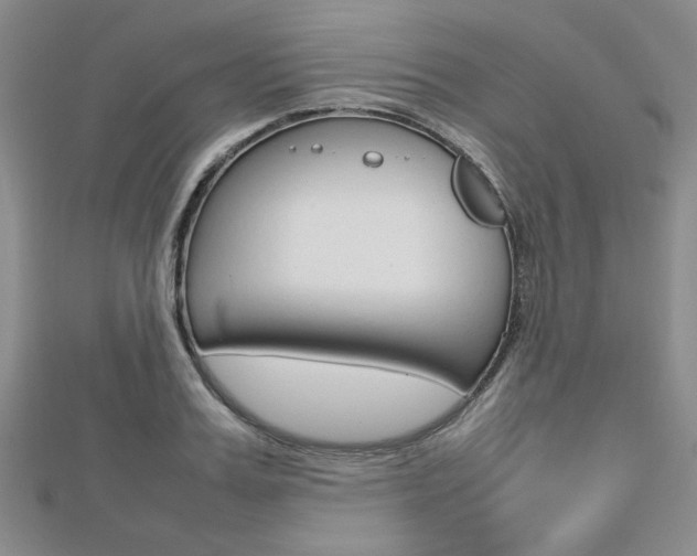 X0000112810987200908210934