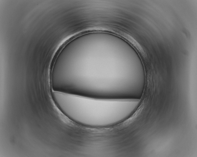 X0000112810988200908210934