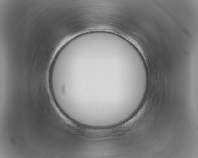 X0000112810989200908210934