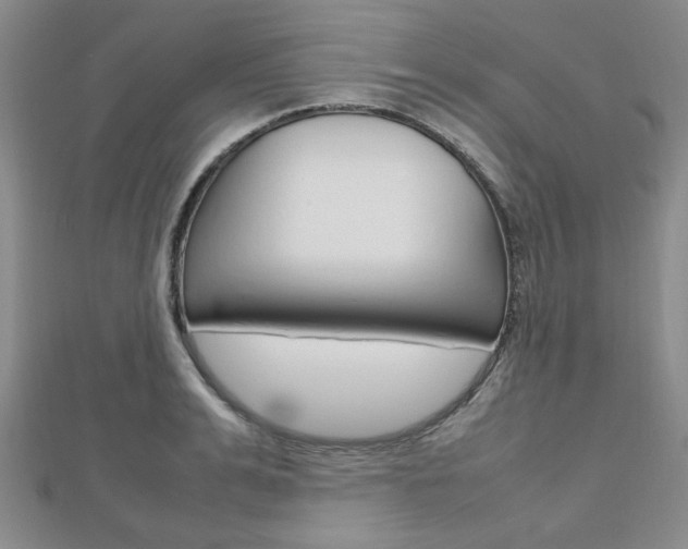 X0000112810991200908210934