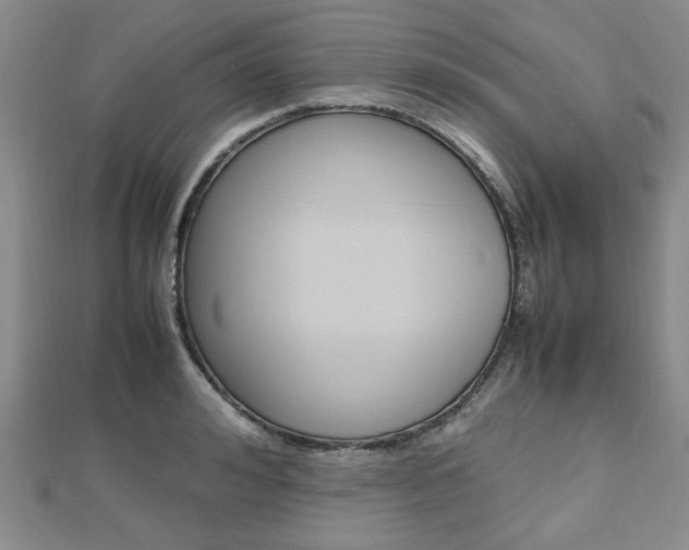 X0000112810992200908210934