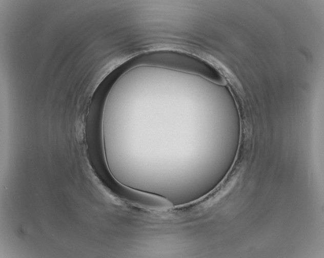 X0000112810993200908210934