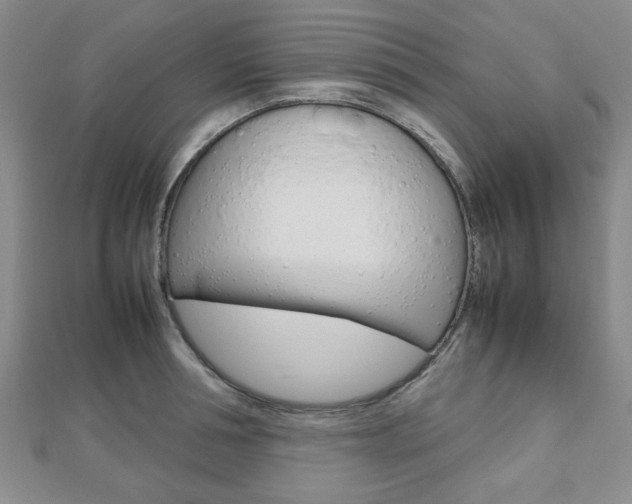 X0000112810994200908210934