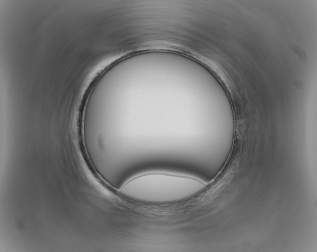 X0000112810995200908210934