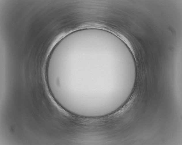X0000112810997200908210934