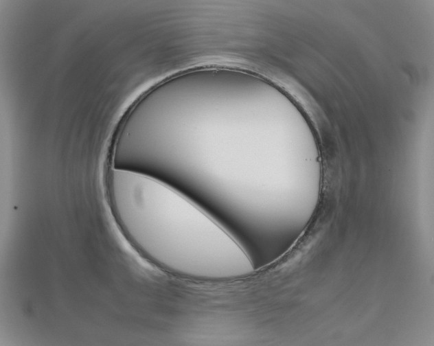 X0000112810999200908210934