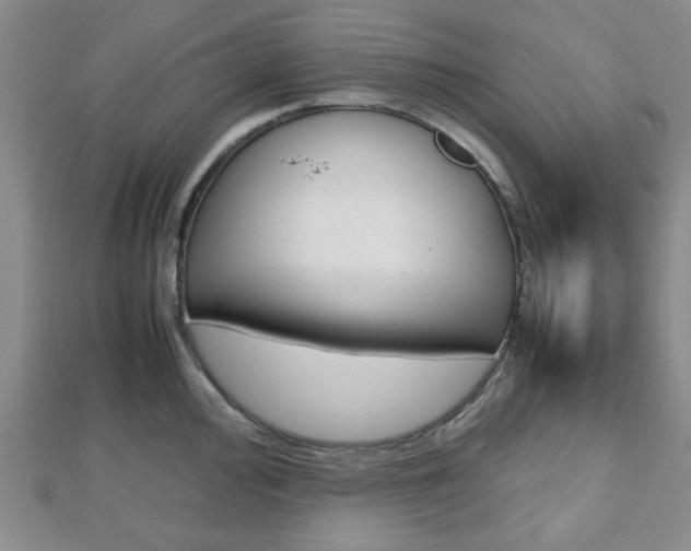 X0000112811000200908210934