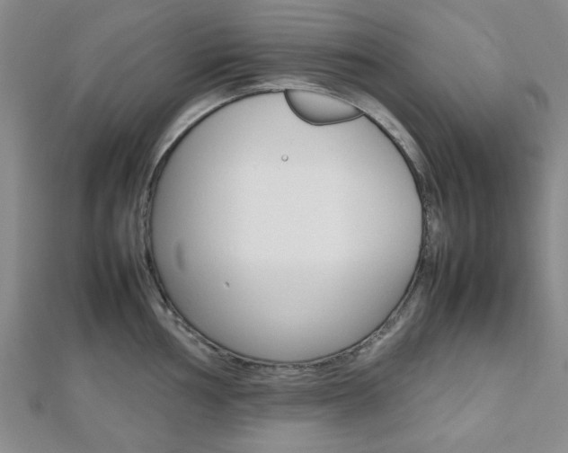 X0000112811002200908210934