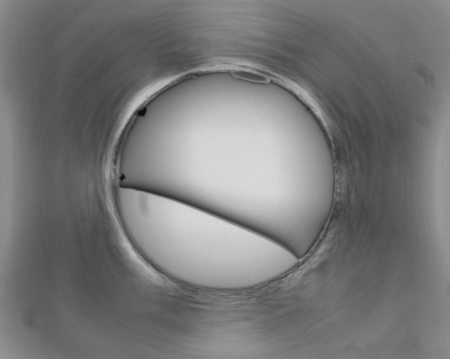 X0000112811003200908210934