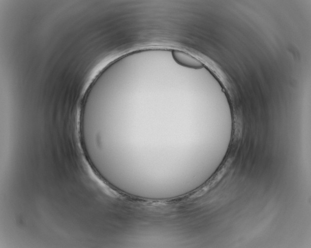 X0000112811006200908210934