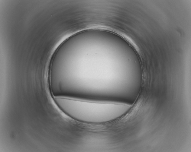 X0000112811007200908210934