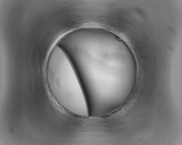 X0000112811008200908210934