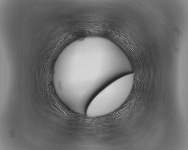 X0000112811009200908210933