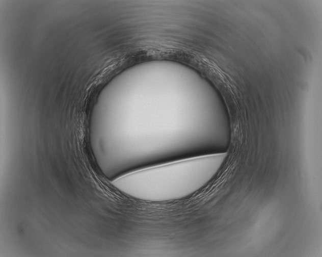 X0000112811012200908210933