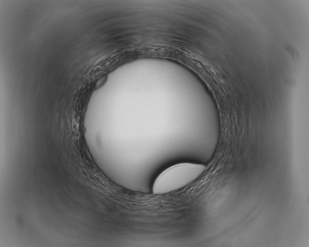 X0000112811013200908210933
