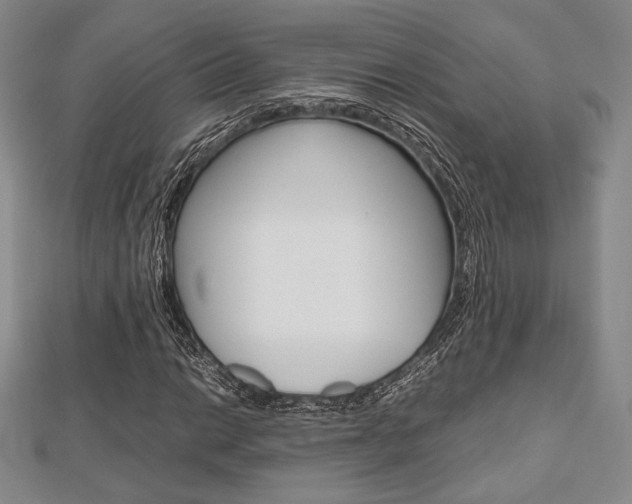 X0000112811014200908210933